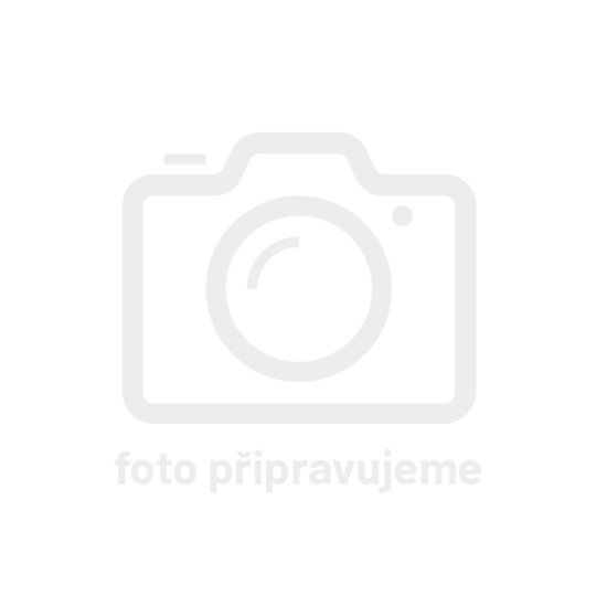 Michelin City Grip 2 120/70 B 13 53S